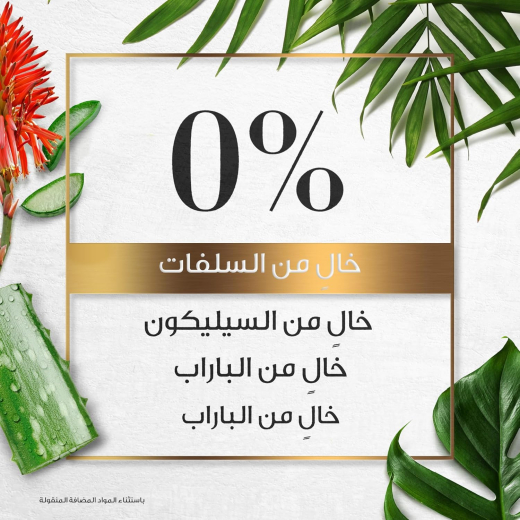 شامبو للشعر خالي من البارابين الصبار الفعال وزيت الافوكادو لتنظيف وترطيب الشعر المجعد - من هيربال