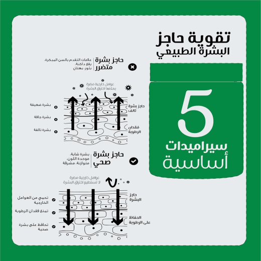كريم مرطب و مرمم يحمي حاجز البشرة لكل انواع البشرة - من بيزلين